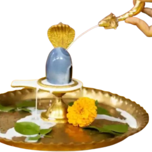Rudra Abhishek Pooja